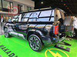 بی وای دی لیۆپارد 8